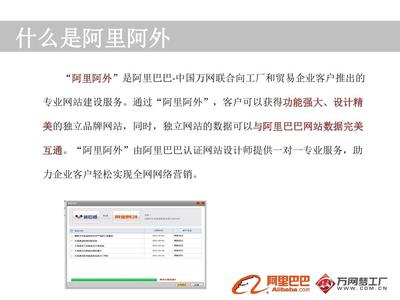 阿里阿外介绍