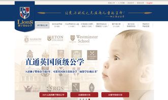 母婴商城网站建设 企业网站制作如何快速引流